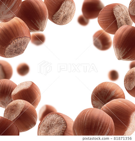Ripe hazelnuts levitate on a white background 81871356