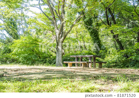 公園長椅和桌子 公園長椅和桌子 81871520