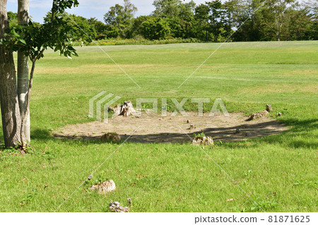 Photographing the scenery of the World Heritage Kakinoshima site in Usujiricho, Hakodate, Hokkaido in early autumn 81871625