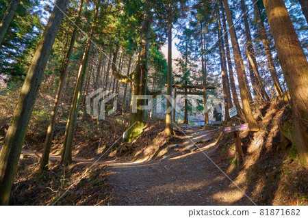 Power spot of Mt. Mitake, Ome-shi, Tokyo Tengu's stool cedar 81871682