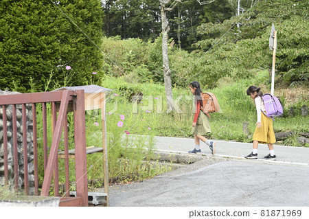 Elementary school students walking on the school road 81871969