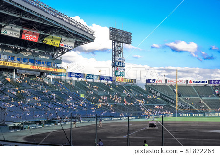 夜間比賽甲子園體育場 81872263