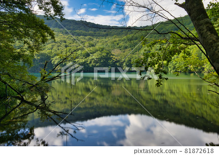 Hakkoda, Aomori Prefecture, the scenery of Tsutanuma at the end of summer Hakkoda, Aomori Prefecture, the scenery of Tsutanuma at the end of summer 81872618