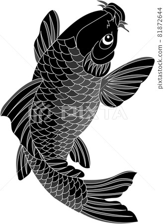 鯉魚 81872644