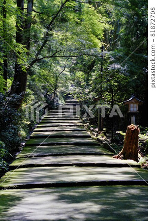 白山姬神社仲夏節 白山姬神社仲夏節 81872708