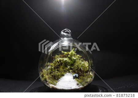 Moss terrarium round white sand interior Moss terrarium round white sand interior 81873218