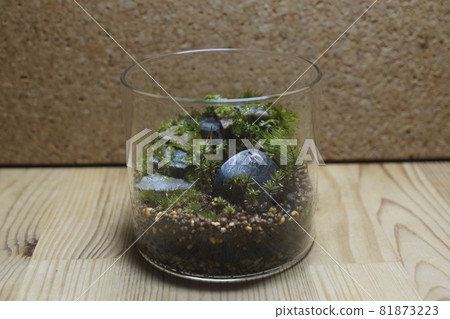帶石階的苔蘚玻璃容器內部 81873223