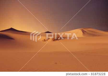 sunset dunes sunset dunes 81873228