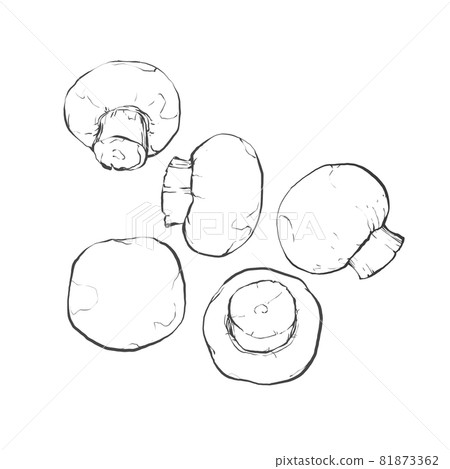 Japanese style hand-drawn line art illustration of mushrooms Japanese style hand-drawn line art illustration of mushrooms 81873362