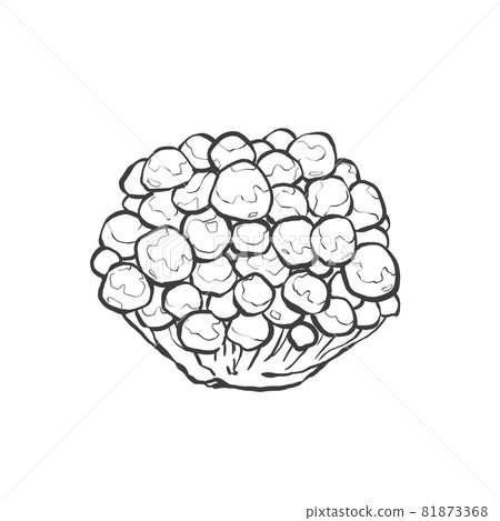 Nameko Japanese style hand-drawn line art illustration 81873368