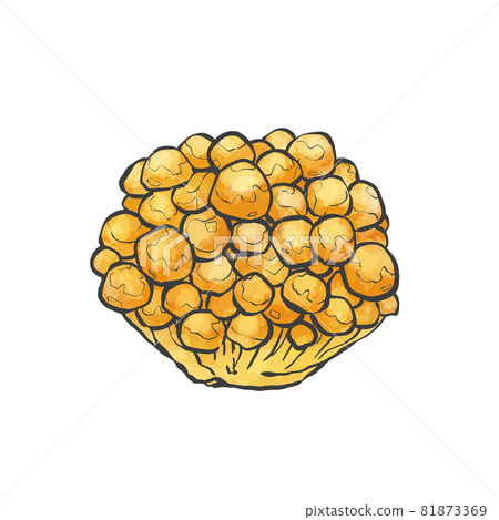 Nameko Japanese style hand-drawn illustration 81873369