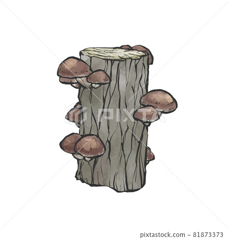Japanese-style hand-drawn illustration of log-grown shiitake mushrooms 81873373