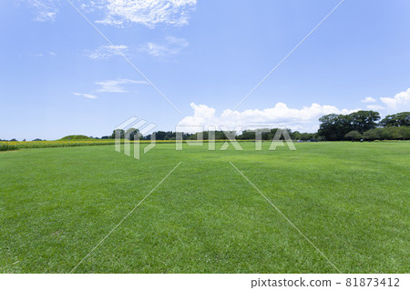 草坪和向日葵的風景 草坪和向日葵的風景 81873412