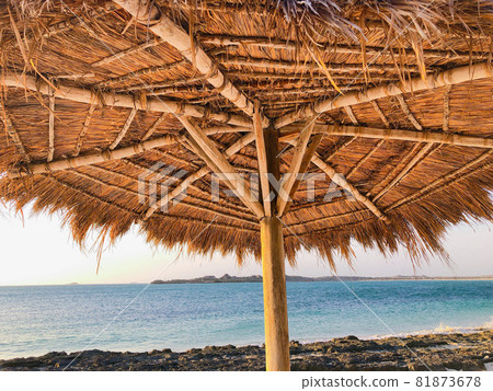 [Madagascar] Beautiful beach seen from under the palm leaf umbrella (Andabadaka) 81873678