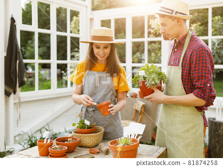 Delighted couple gardening in orangery together Delighted couple gardening in orangery together 81874258