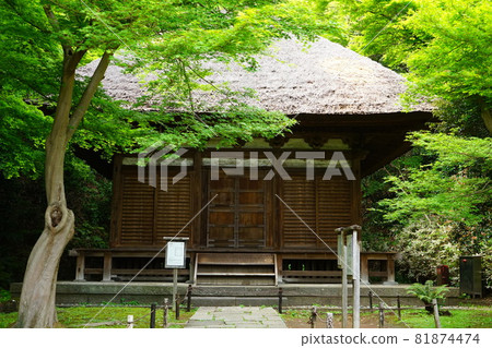 Japanese garden Japanese house Japanese garden Japanese house 81874474