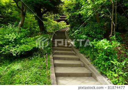 Japanese garden Japanese house and stone steps Japanese garden Japanese house and stone steps 81874477