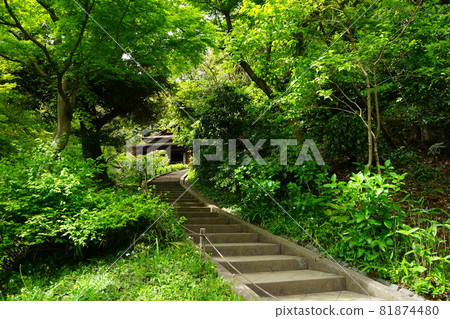 Japanese garden Japanese house and stone steps Japanese garden Japanese house and stone steps 81874480