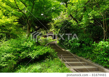 Japanese garden Japanese house and stone steps Japanese garden Japanese house and stone steps 81874481