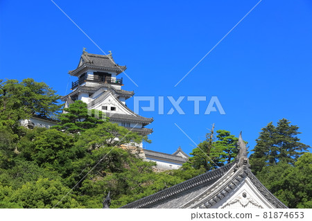 [Kochi Prefecture] Kochi Castle castle tower under clear skies (Honmaru) 81874653
