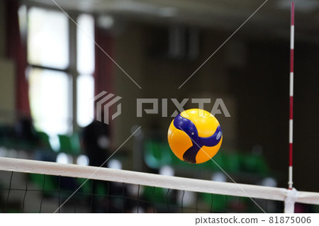 網上排球 81875006