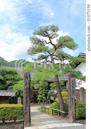 中山堂妻籠宿脅本神奧谷 中山堂妻籠宿脅本神奧谷 81875236