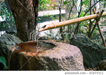 Shishi-odoshi with flowing water 81875311