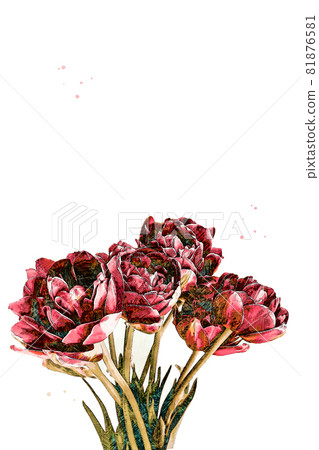 Beautiful Abstract watercolor rose bouquet illustration Beautiful Abstract watercolor rose bouquet illustration 81876581