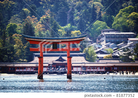 Hiroshima ken Miyajima Itsukushima Shrine Hiroshima ken Miyajima Itsukushima Shrine 81877352