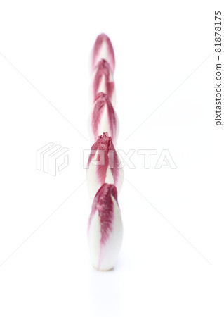 Clean red chicory with white background, endive, endive, endive, chicory. Clean red chicory with white background, endive, endive, endive, chicory. 81878175