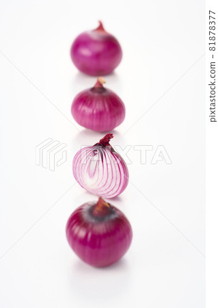 Clean purple onions, red onions, early red, and red onions on a white background Clean purple onions, red onions, early red, and red onions on a white background 81878377