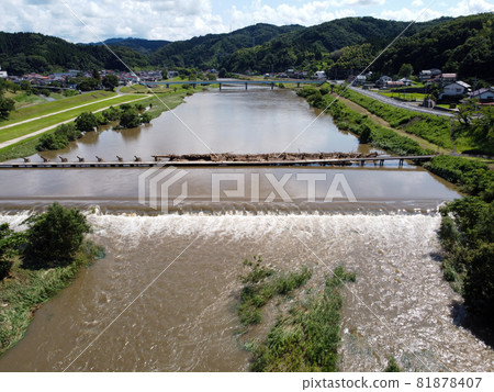 大雨過後的島根縣雲南市比日川河堤附近的一排櫻花樹下的潛水橋根井橋，鳥瞰 81878407