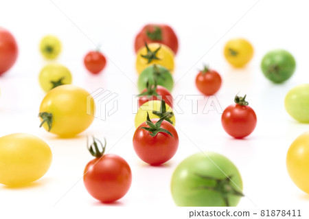 Pop and cute colorful petit tomato cherry tomato Pop and cute colorful petit tomato cherry tomato 81878411