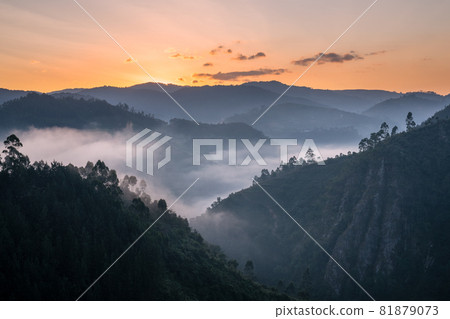 Landscape of Bwindi National Park, Uganda Landscape of Bwindi National Park, Uganda 81879073