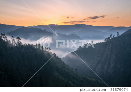 Landscape of Bwindi National Park, Uganda 81879074