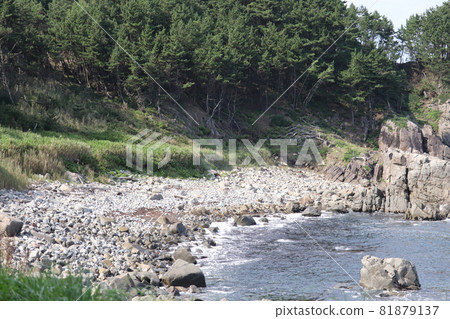Rocky beach on a sunny day Rocky beach on a sunny day 81879137