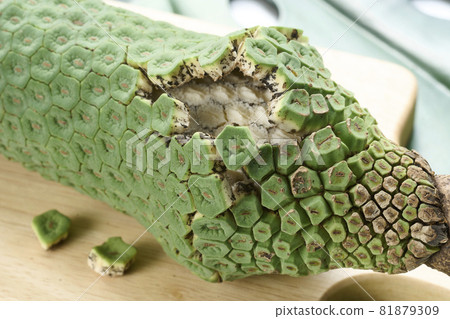 Monstera fruit that is ripe and is about to... - Stock Photo [81879309] -  PIXTA