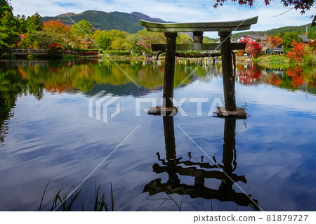 Lake Kinrin and Autumn Leaves (Yufu City, Oita Prefecture) Lake Kinrin and Autumn Leaves (Yufu City, Oita Prefecture) 81879727