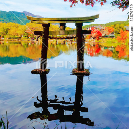 Lake Kinrin and Autumn Leaves (Yufu City, Oita Prefecture) 81879729