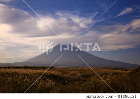 靜岡縣小野原原野富士山與洶湧的雲朵翩翩起舞 靜岡縣小野原原野富士山與洶湧的雲朵翩翩起舞 81880151