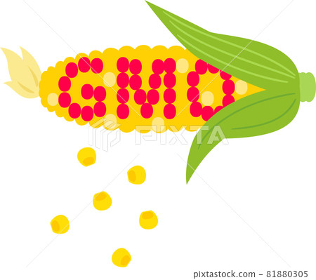 轉基因玉米 81880305