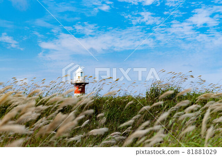 石狩燈塔 81881029