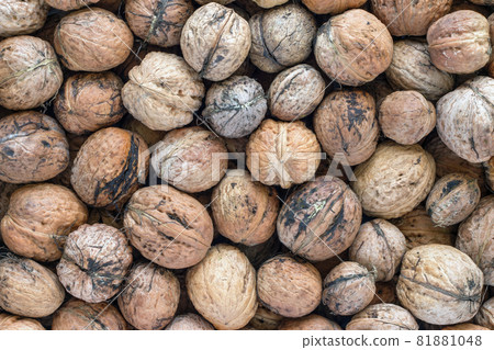 Walnuts - autumn fruits Walnuts - autumn fruits 81881048