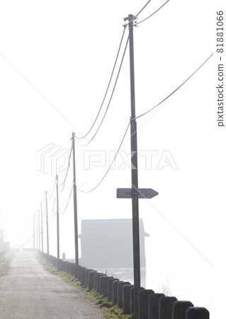 Misty morning at the pond Misty morning at the pond 81881066