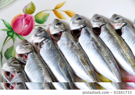 Cleaned and ready to cook fresh fish horse mackerel, istavrit fish 81881733