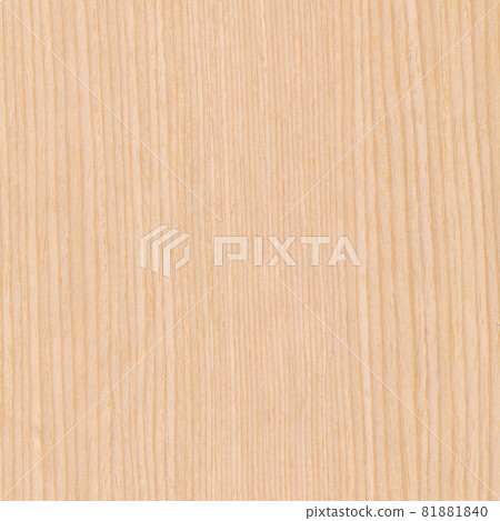 Tamo Sumime high image quality Tamo Sumime high image quality 81881840