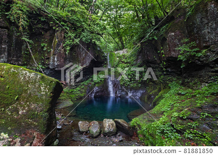 Tochigi Prefecture / "Oshiraji Falls", which is said to be a phantom with vivid moss (waterfall withered) Tochigi Prefecture / "Oshiraji Falls", which is said to be a phantom with vivid moss (waterfall withered) 81881850