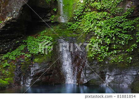 櫪木縣/“Oshiraji瀑布”，據說是帶有生動苔蘚的幻影（瀑布枯萎） 81881854