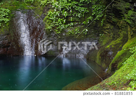 Tochigi Prefecture / "Oshiraji Falls", which is said to be a phantom with vivid moss (waterfall withered) 81881855