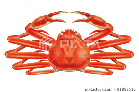 雪蟹圖 81882516
